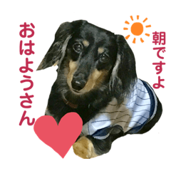[LINEスタンプ] べるたんの日常 6