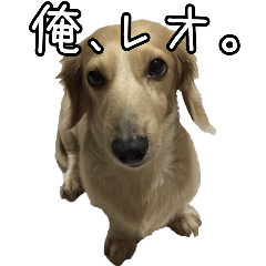 [LINEスタンプ] 俺、レオ。