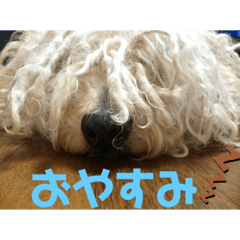 [LINEスタンプ] プーリー犬♩レゴ@