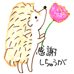 [LINEスタンプ] 土佐弁なハリネズミ