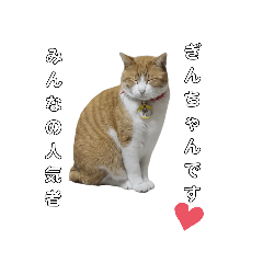 [LINEスタンプ] ネコのぎんちゃんスタンプver1