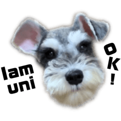 [LINEスタンプ] シュナとプーすた。