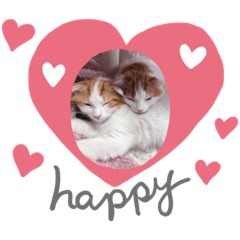 [LINEスタンプ] マロノアの日常