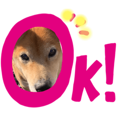 [LINEスタンプ] コロころ