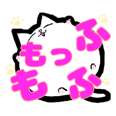[LINEスタンプ] 毎日使える白にゃんこ