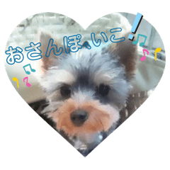 [LINEスタンプ] パピーTom