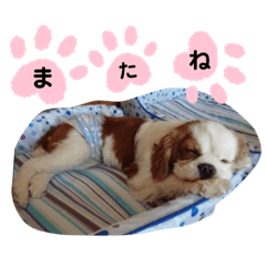 [LINEスタンプ] シューズ②