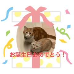 [LINEスタンプ] チョコラテスタンプ
