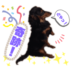 [LINEスタンプ] うきょきょのつぶやき・仲間たち4