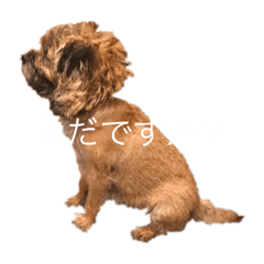 [LINEスタンプ] Borderterrior Daisy I