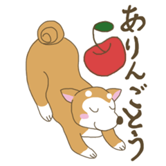 [LINEスタンプ] りんご大好き！柴犬ちゃん【ダジャレ】