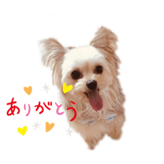 [LINEスタンプ] 結ちゃんの気分