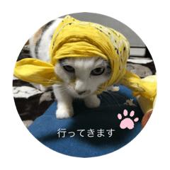 [LINEスタンプ] プィ家族2