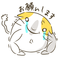 [LINEスタンプ] 使える日常会話FATCATネコちゃんスタンプ