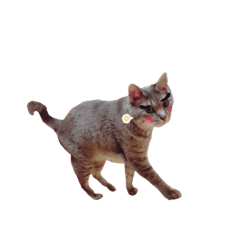 [LINEスタンプ] うちのムートン君