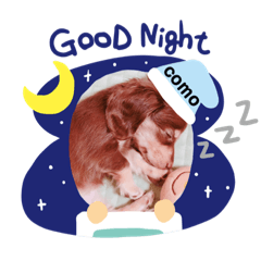 [LINEスタンプ] SHIHOまうこもfamily2