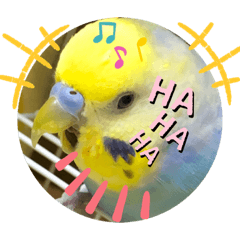 [LINEスタンプ] インコのれいじろう2