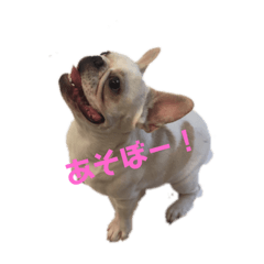 [LINEスタンプ] フレブルぶっちゃんスタンプ