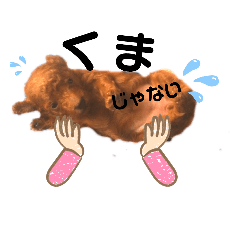 [LINEスタンプ] やまもトイプー