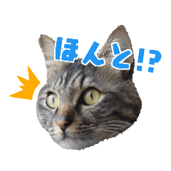 [LINEスタンプ] タルトと羽玖