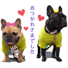 [LINEスタンプ] フレンチブルドッグのsen＆oto