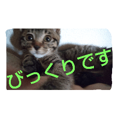 [LINEスタンプ] ニアスタンプ