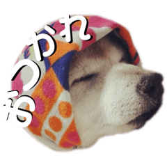 [LINEスタンプ] うちの子たちの一言。