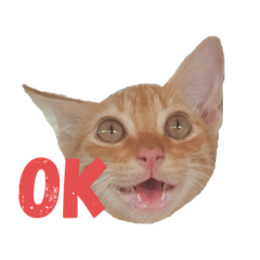 [LINEスタンプ] 黄さんの動物園