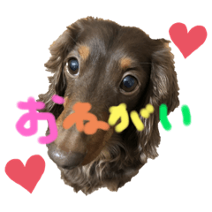 [LINEスタンプ] ポッキーNO.1