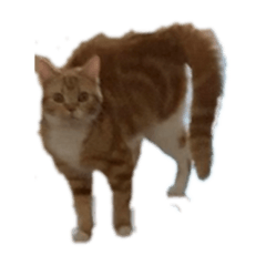 [LINEスタンプ] 茶スタ2