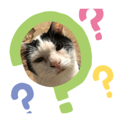 [LINEスタンプ] ぶーちゃんとお友だち 1