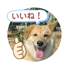 [LINEスタンプ] サンスタ2
