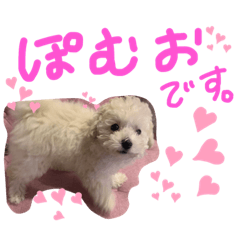 [LINEスタンプ] ぽむおくん