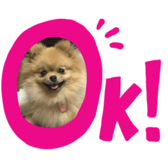 [LINEスタンプ] ふわふわふわりちゃんスタンプ