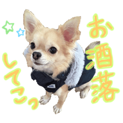 にこにこテトくん☆