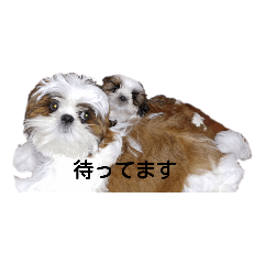 [LINEスタンプ] 千斗❤️斗真