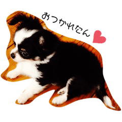 [LINEスタンプ] CoCoAyAnA