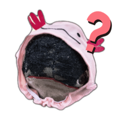 [LINEスタンプ] ぼいちゃんスタンプ