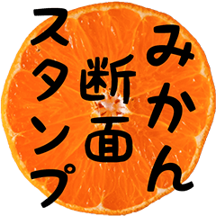 [LINEスタンプ] みかん断面スタンプ