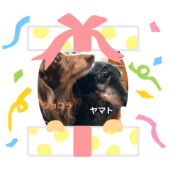 [LINEスタンプ] ヤマト＆ショコラ（ミニチュアダックス犬）