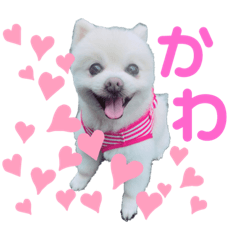 [LINEスタンプ] ムク2