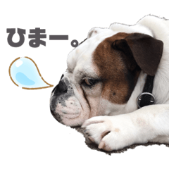 [LINEスタンプ] 瀧治郎だブル