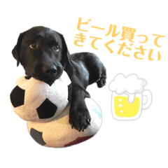 [LINEスタンプ] ジェイちゃんのわりとよく使えるスタンプ