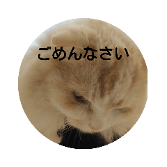 [LINEスタンプ] ねこたスタンプNo.2