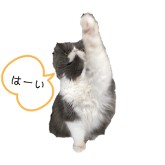 [LINEスタンプ] tenkotenko