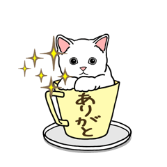 [LINEスタンプ] 動く！アクロバティックねこ [毎日使える編]