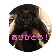 [LINEスタンプ] ネゴのお願い！
