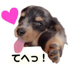 [LINEスタンプ] マロン君②