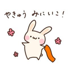 [LINEスタンプ] 野球が大好きなうさぎのスタンプ