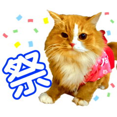 [LINEスタンプ] まぶたろすちゃんスタンプ